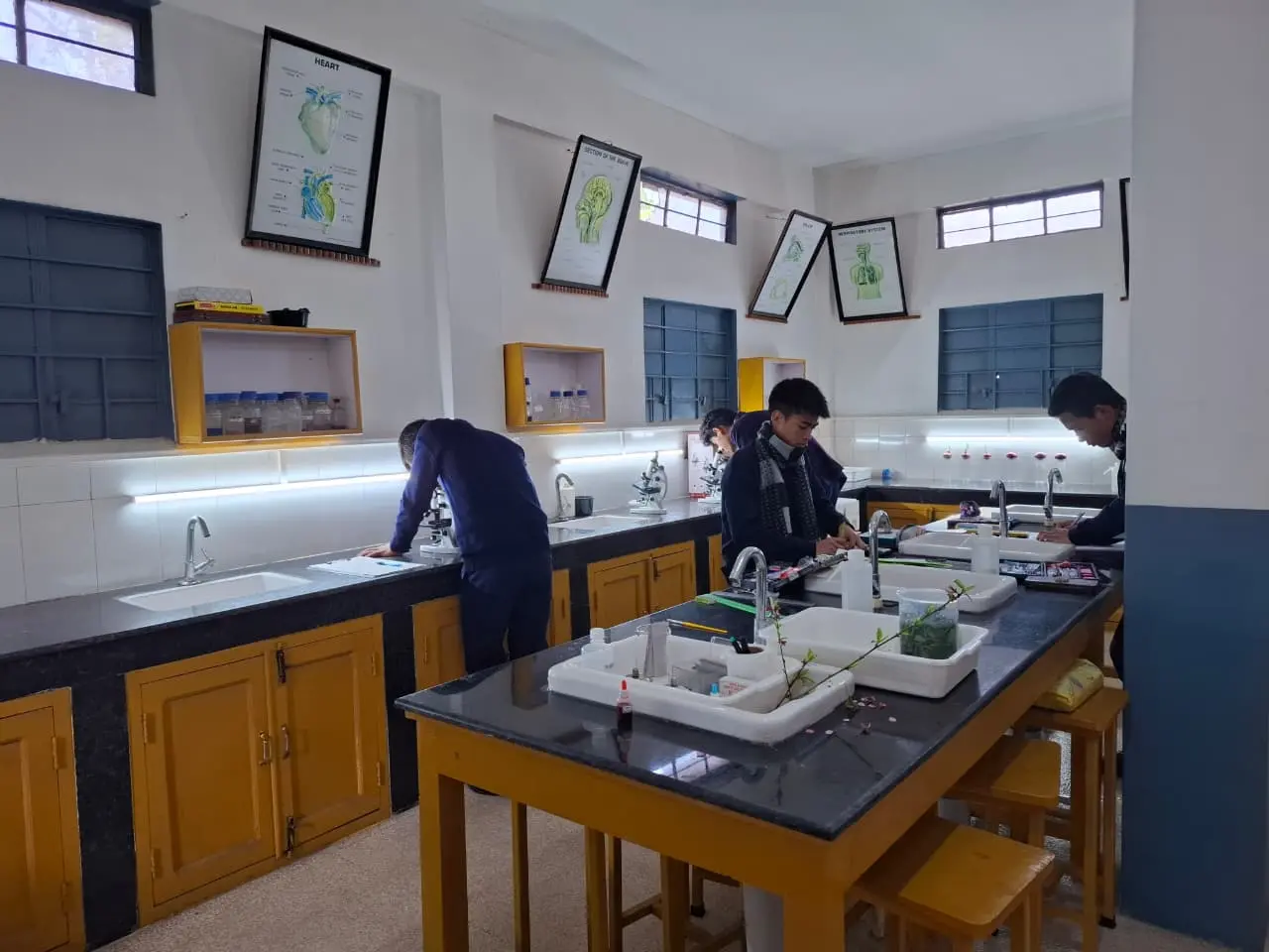 Biology Lab 1