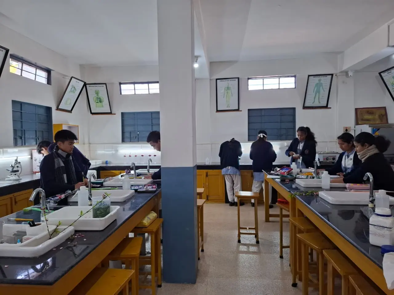 Biology Lab 3