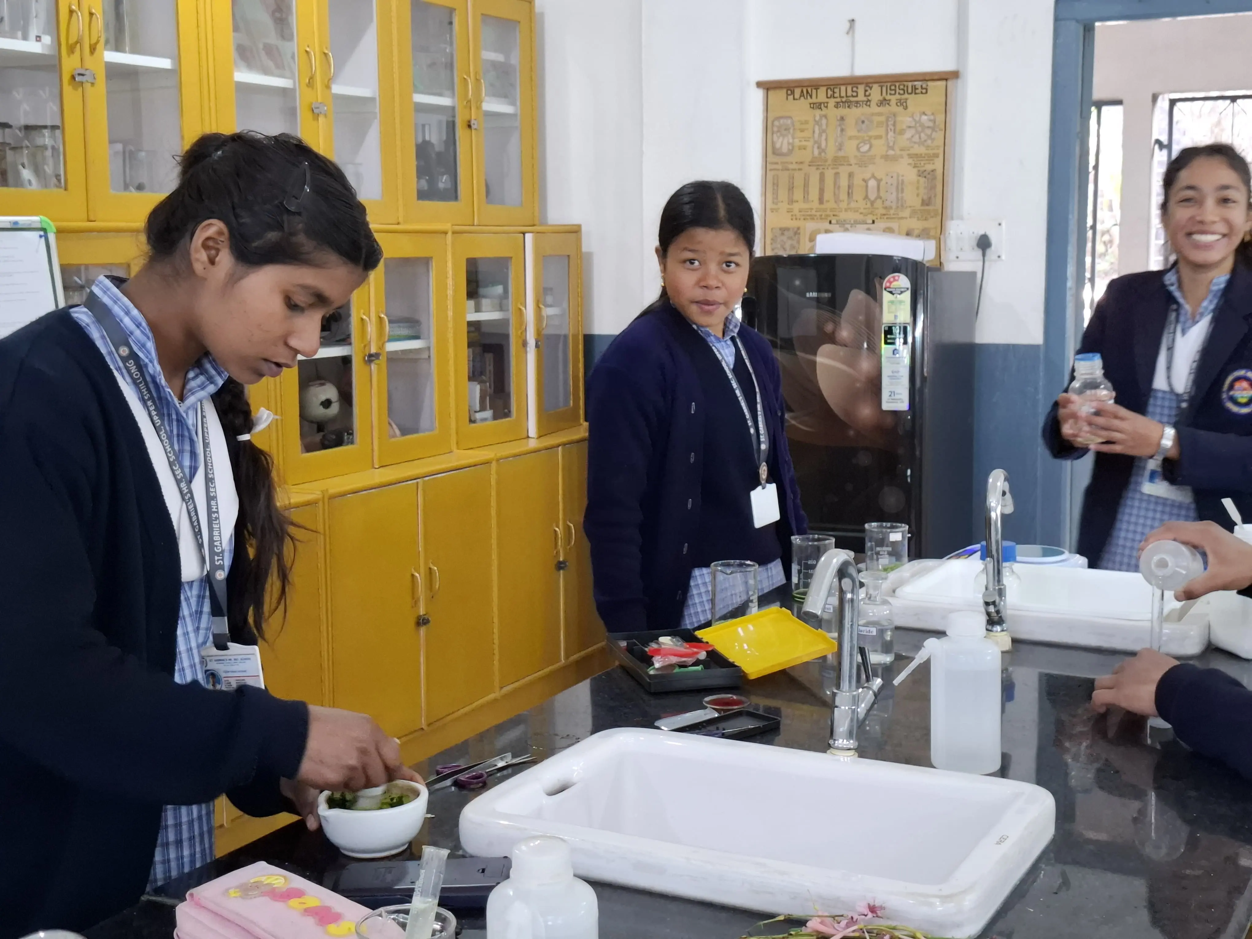 Chemistry Lab 2
