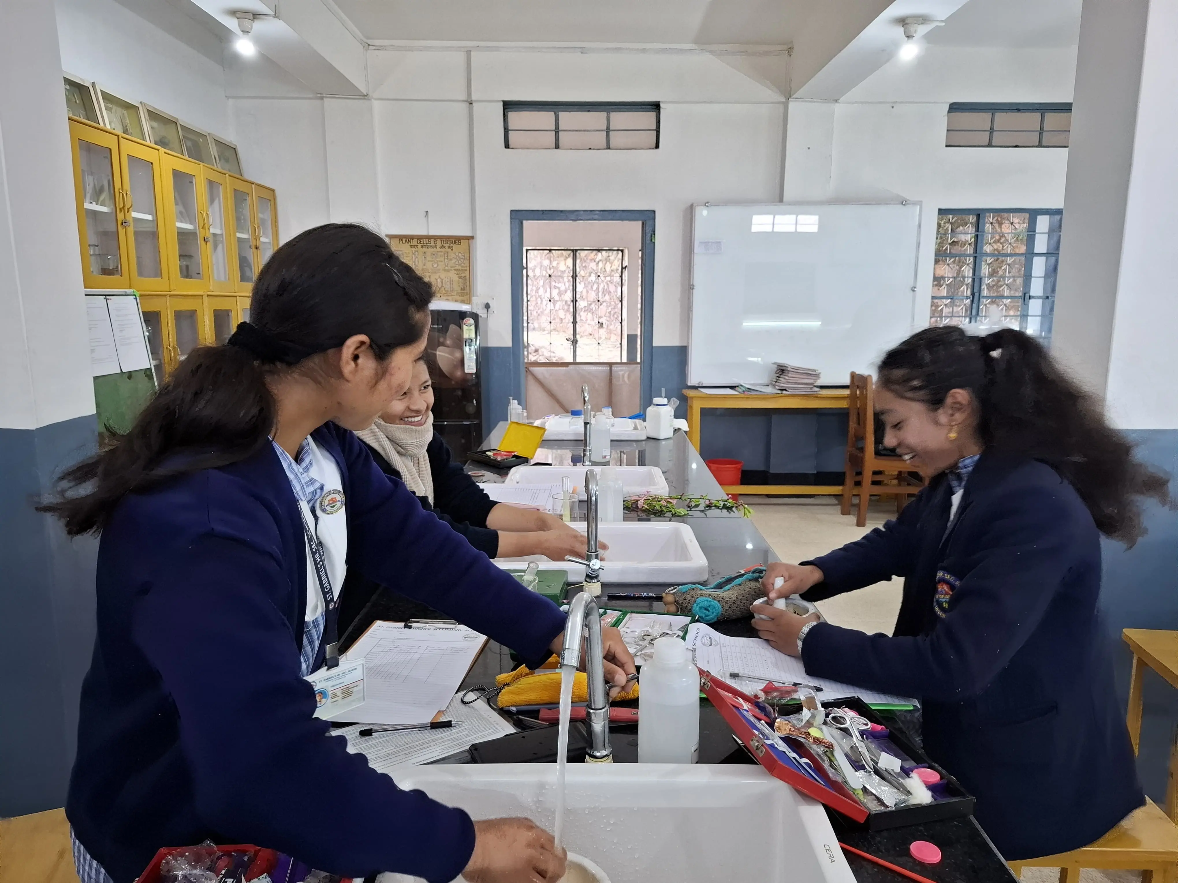 Chemistry Lab 4